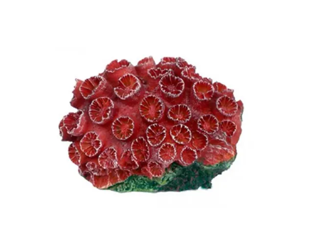 Aquariatech Corallo Tubastrea Red Small Resina 8x6x4 cm